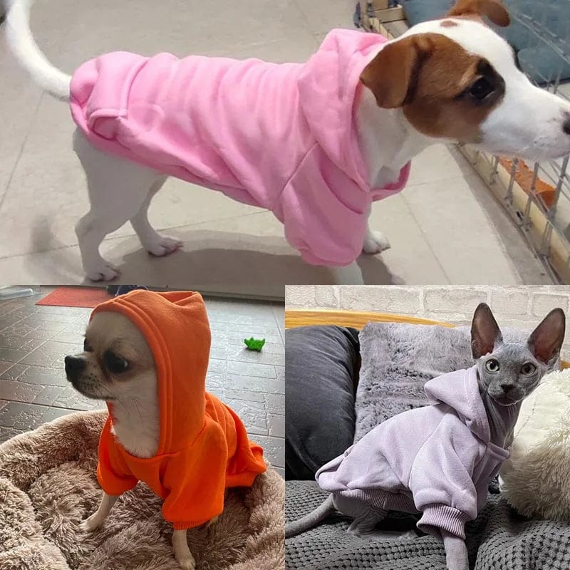 Blouson à Capuche pour Bouledogue Français Pour Bouli