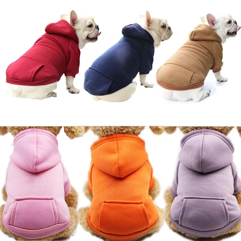 Blouson à Capuche pour Bouledogue Français Pour Bouli