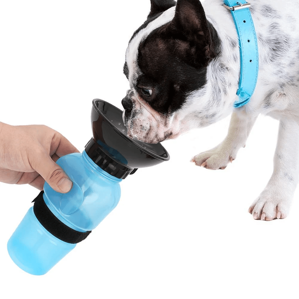 Bouteille d’Eau 2-en-1 pour Bouledogue Français Dog Supplies