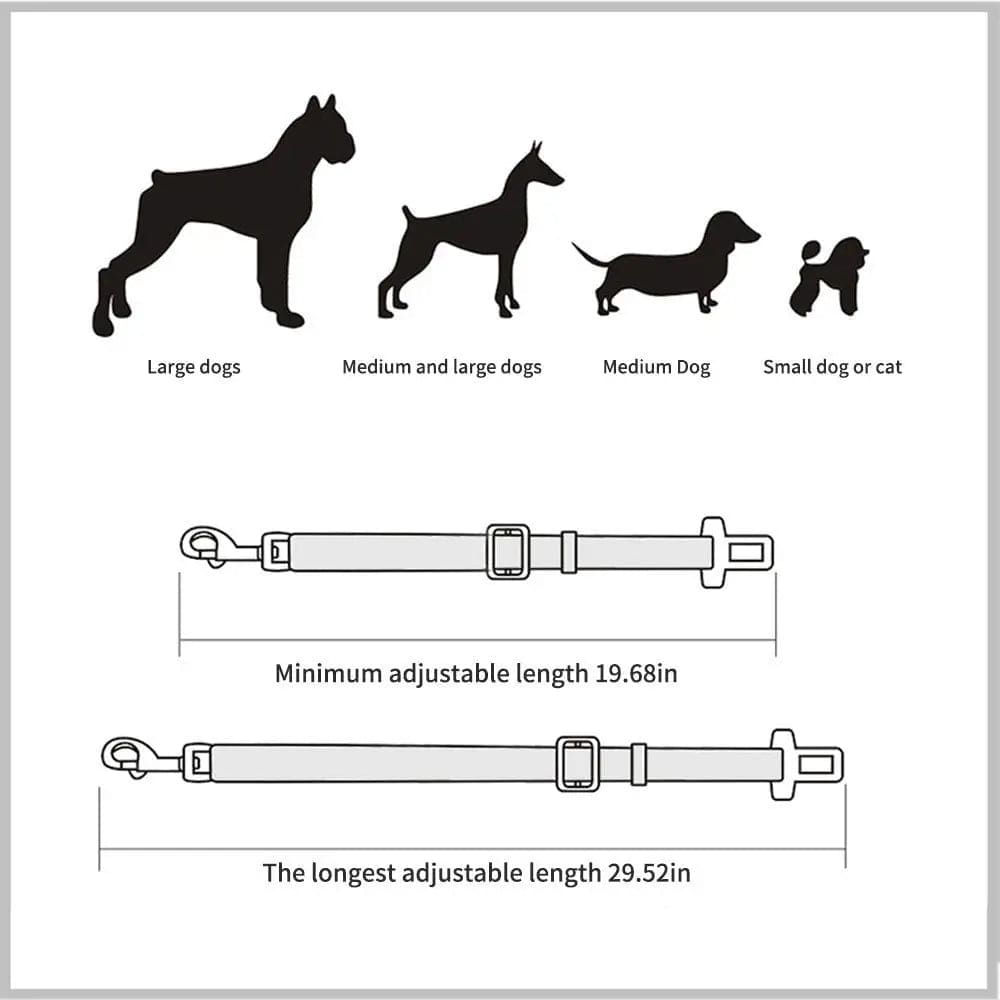 Ceinture de Sécurité Réglable pour Bouledogue Français Pour Bouli
