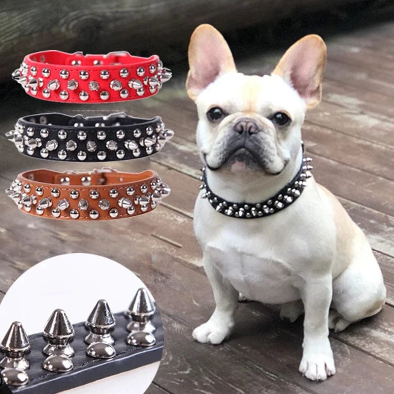 Collier en Cuir Clouté pour Bouledogue Français Pour Bouli