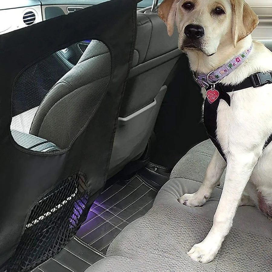 Filet de Sécurité bouledogue pour Voiture black