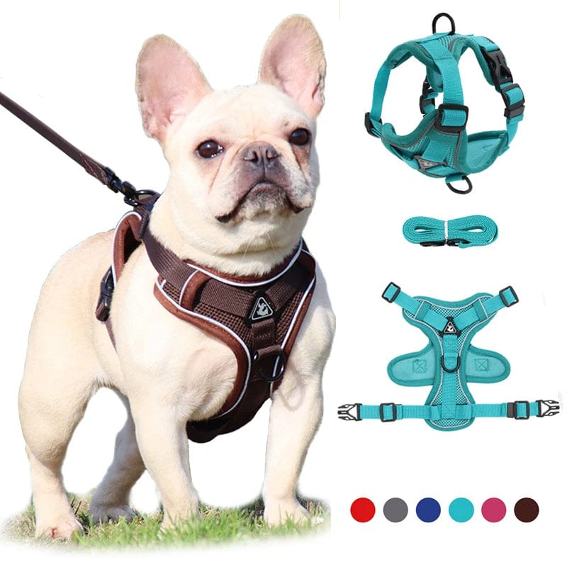 Harnais Anti-Traction et Laisse pour Bouledogue Français harness