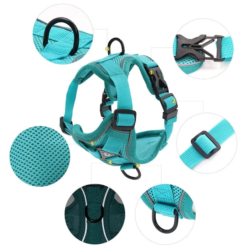 Harnais Anti-Traction et Laisse pour Bouledogue Français harness