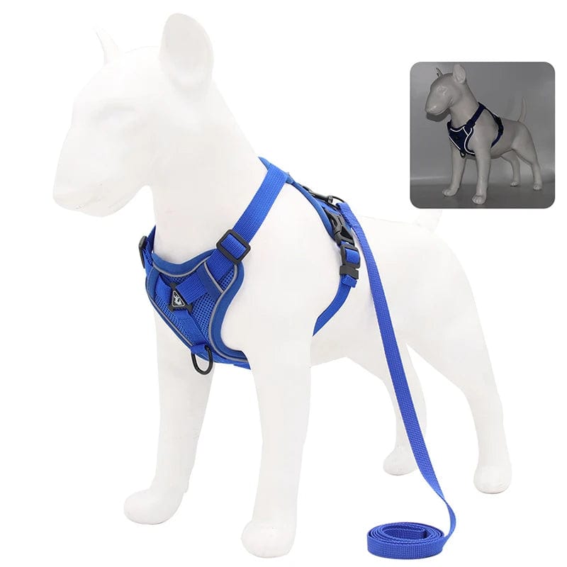 Harnais Anti-Traction et Laisse pour Bouledogue Français harness Bleu / M 3.5-5.5 kg