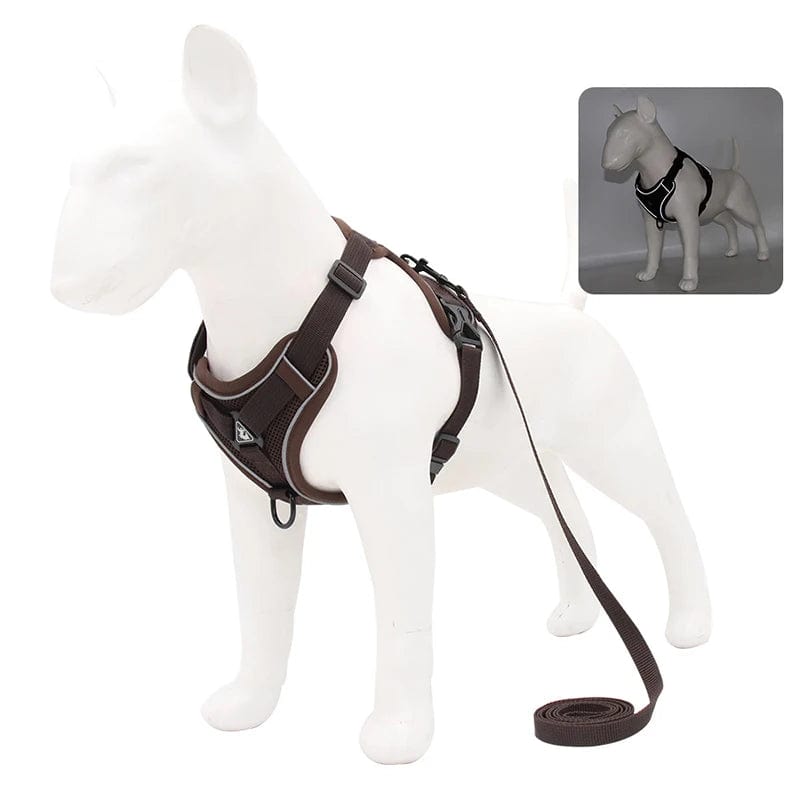 Harnais Anti-Traction et Laisse pour Bouledogue Français harness Cafe / M 3.5-5.5 kg
