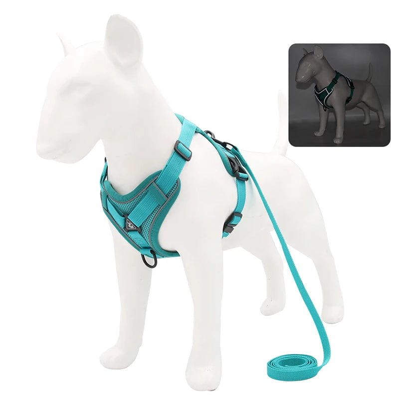 Harnais Anti-Traction et Laisse pour Bouledogue Français harness Cyan / XL 7.5-10 kg