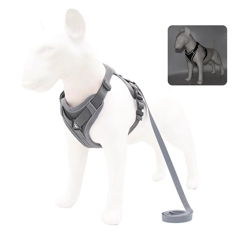 Harnais Anti-Traction et Laisse pour Bouledogue Français harness Gris / XL 7.5-10 kg