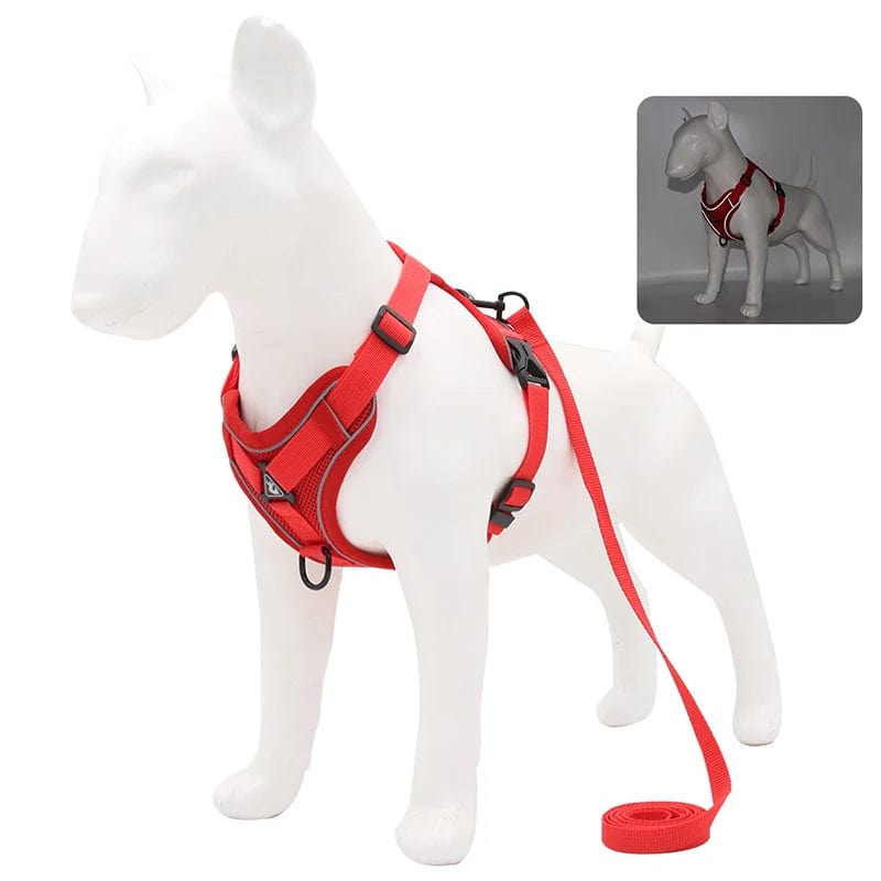 Harnais Anti-Traction et Laisse pour Bouledogue Français harness Rouge / XL 7.5-10 kg