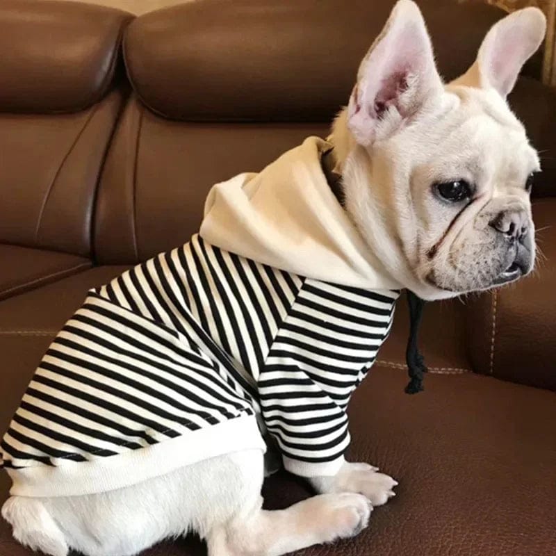 Pull Marinière à Capuche Pour Bouli