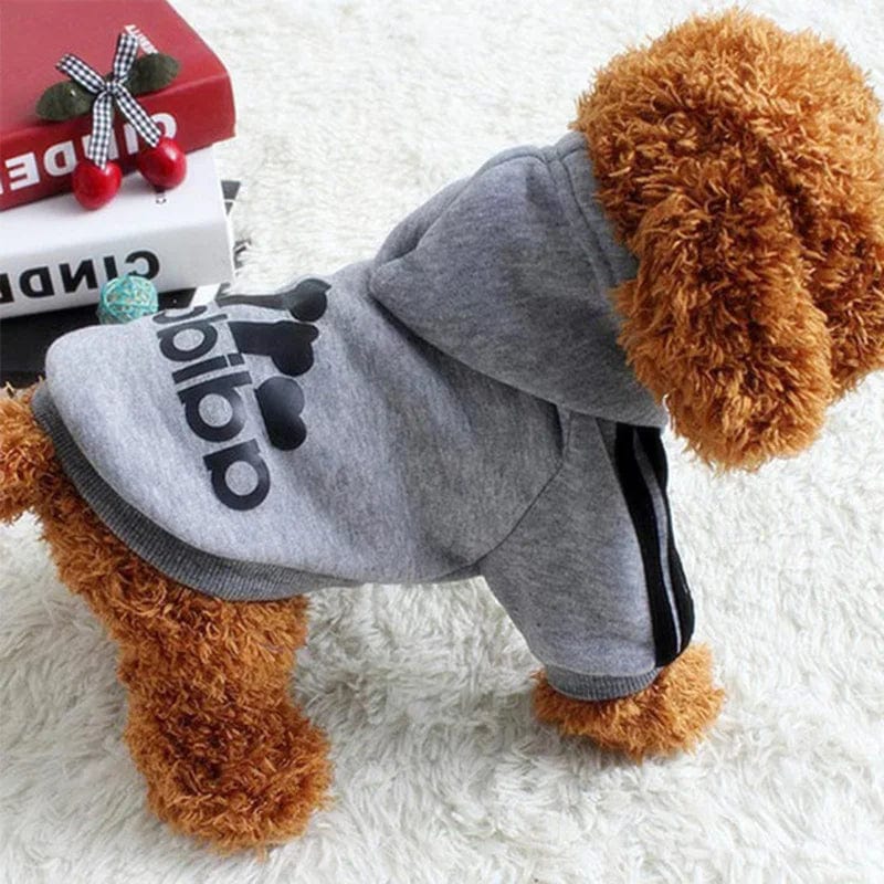 Sweat à Capuche Adidog pour Bouledogue Français – Confort et Style Sportif Pour Bouli