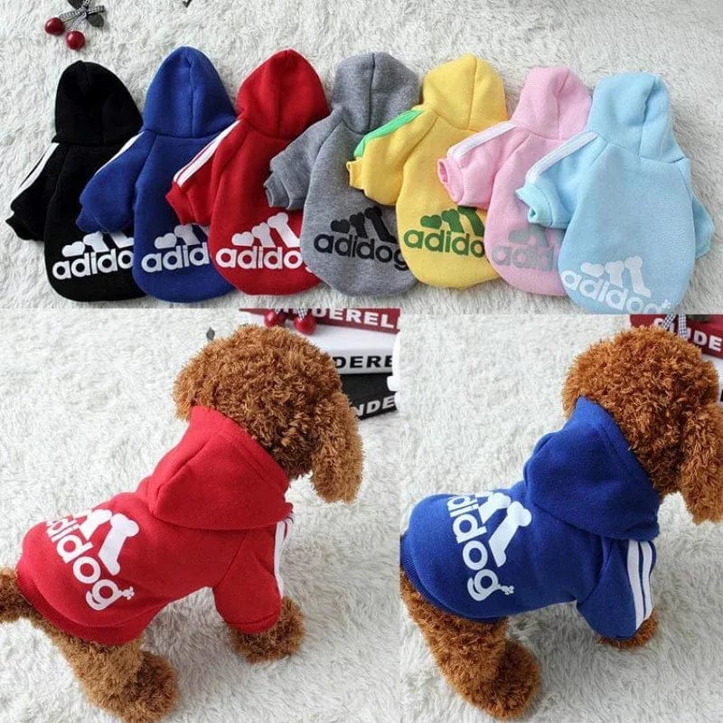 Sweat à Capuche Adidog pour Bouledogue Français – Confort et Style Sportif Pour Bouli