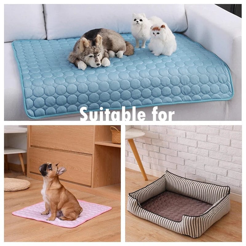 Tapis de Refroidissement pour Bouledogue Français Pour Bouli
