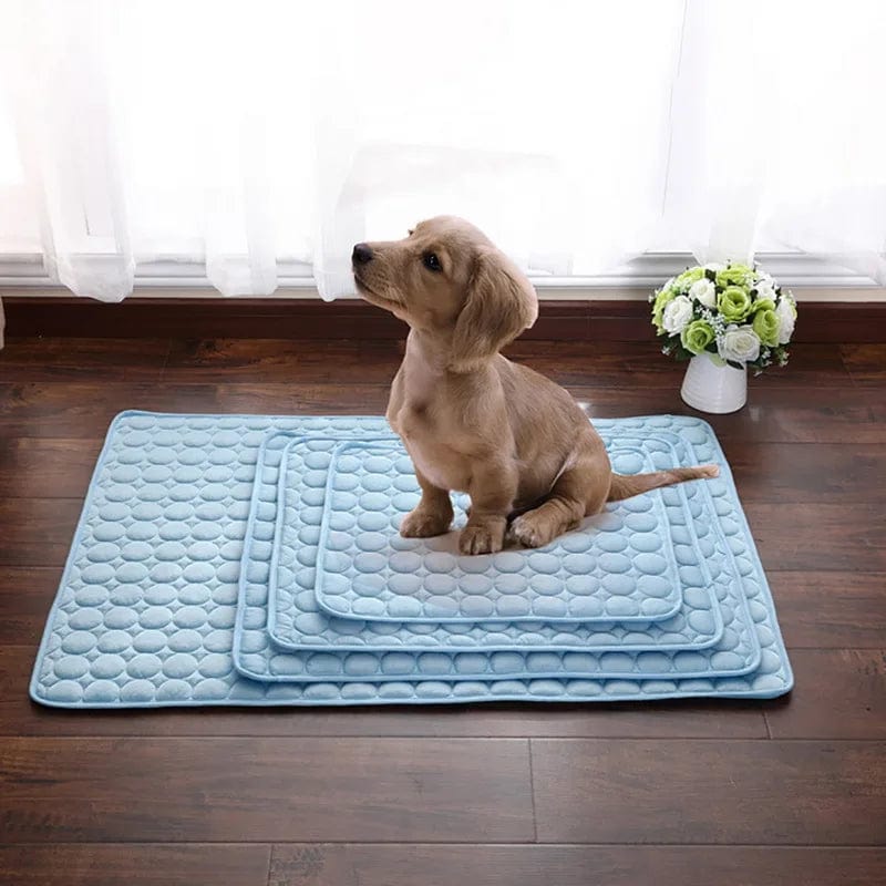 Tapis de Refroidissement pour Bouledogue Français Pour Bouli