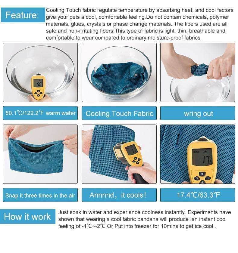 Bouledogue Avenue Bandana Refroidissant pour Chien