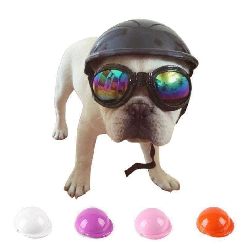 Bouledogue Avenue Pour Bouli Casque moto Pour Bouledogue