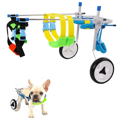 Bouledogue Avenue Chariot Roulant Ajustable Pour Chien