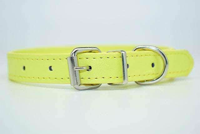 Bouledogue Avenue Pour Bouli Collier en cuir