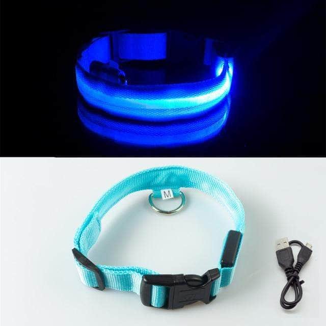 Bouledogue Avenue Pour Bouli Bleu / XS Collier LED - Brille dans le Noir