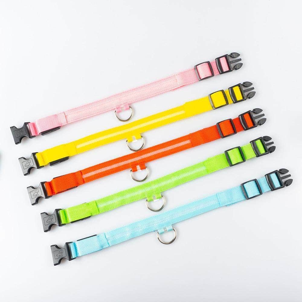 Bouledogue Avenue Pour Bouli Collier LED - Brille dans le Noir