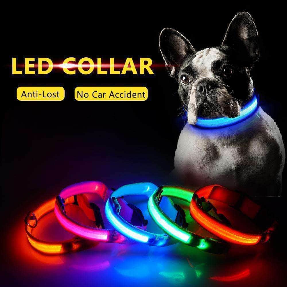 Bouledogue Avenue Pour Bouli Collier LED - Brille dans le Noir