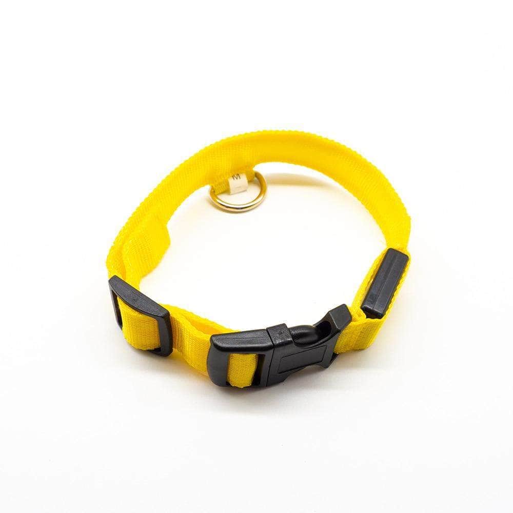 Bouledogue Avenue Pour Bouli Collier LED - Brille dans le Noir