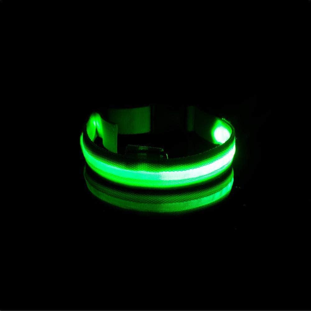 Bouledogue Avenue Pour Bouli Collier LED - Brille dans le Noir