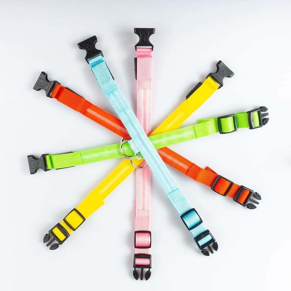 Bouledogue Avenue Pour Bouli Collier LED - Brille dans le Noir