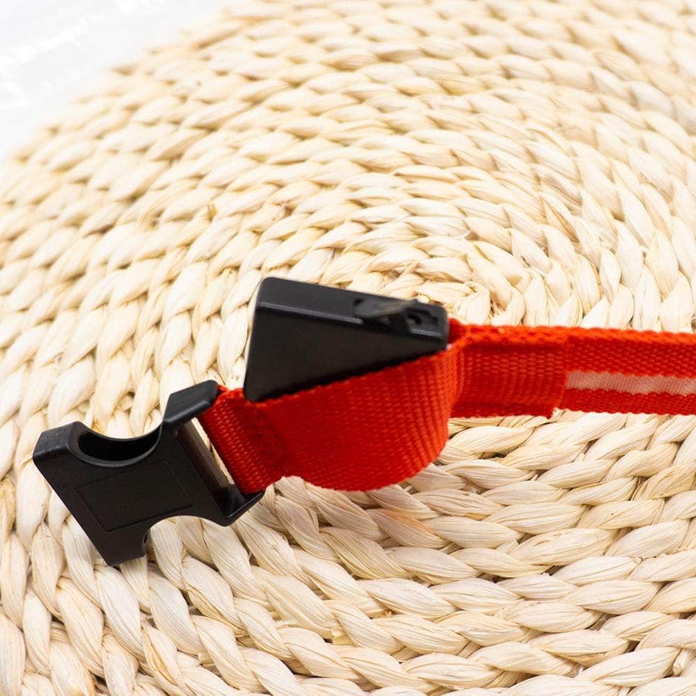 Bouledogue Avenue Pour Bouli Collier LED - Brille dans le Noir