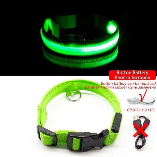 Bouledogue Avenue Pour Bouli Collier LED - Brille dans le Noir