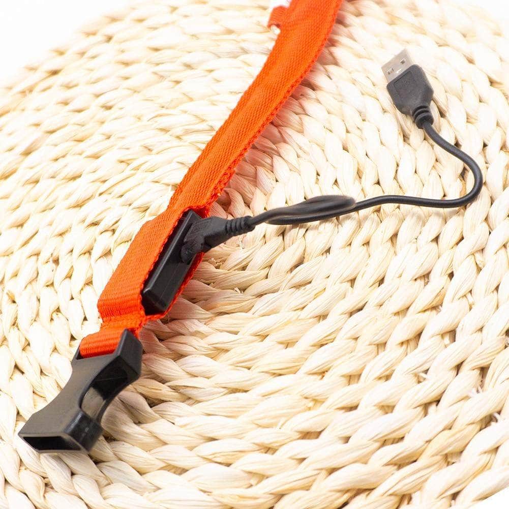 Bouledogue Avenue Pour Bouli Collier LED - Brille dans le Noir