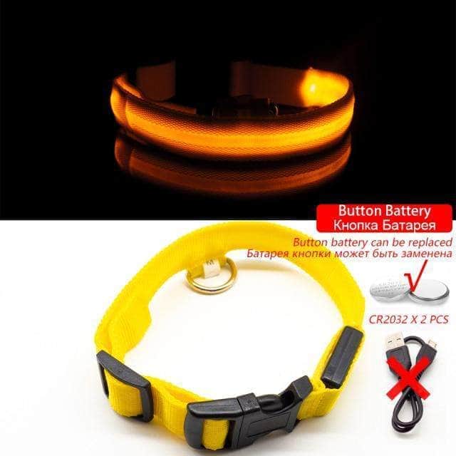 Bouledogue Avenue Pour Bouli Collier LED - Brille dans le Noir