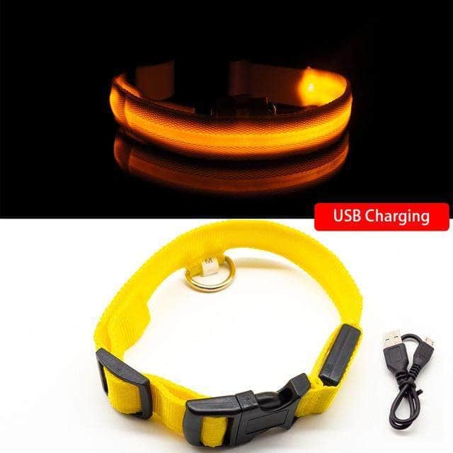 Bouledogue Avenue Pour Bouli Jaune / XS Collier LED - Brille dans le Noir