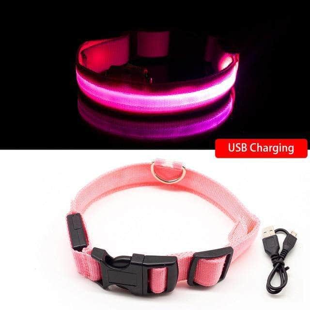 Bouledogue Avenue Pour Bouli Rose / XS Collier LED - Brille dans le Noir