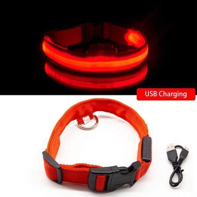 Bouledogue Avenue Pour Bouli Rouge / S Collier LED - Brille dans le Noir