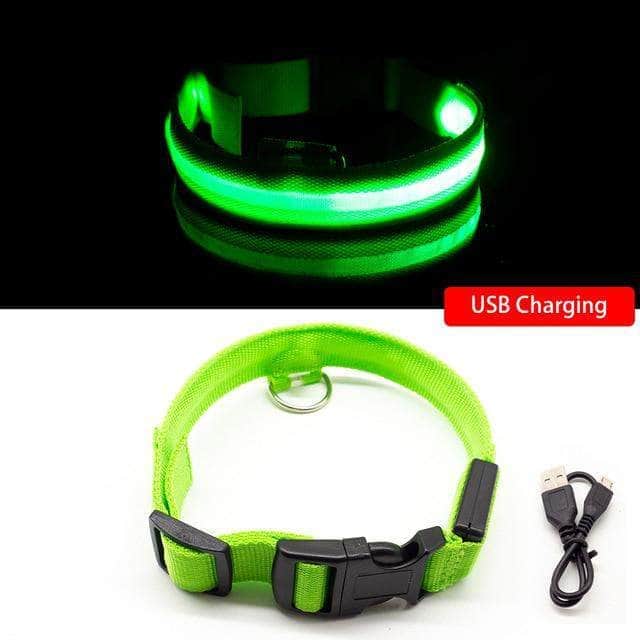 Bouledogue Avenue Pour Bouli Vert / XL Collier LED - Brille dans le Noir