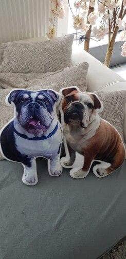 Bouledogue Avenue Pour Chez Vous Coussin Bouledogue Français Personnalisé