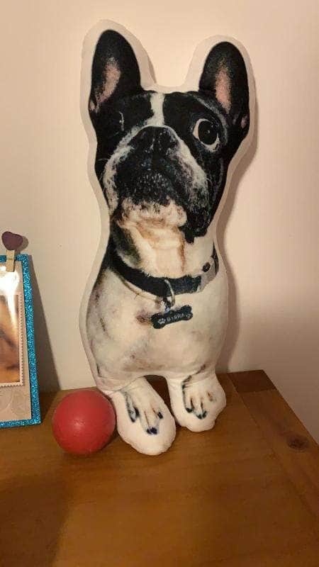 Bouledogue Avenue Pour Chez Vous Coussin Bouledogue Français Personnalisé