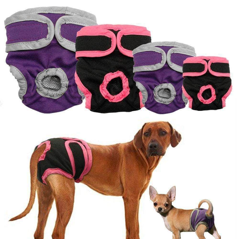 Bouledogue Avenue Pour Bouli Culottes Hygiéniques Noire & Violette