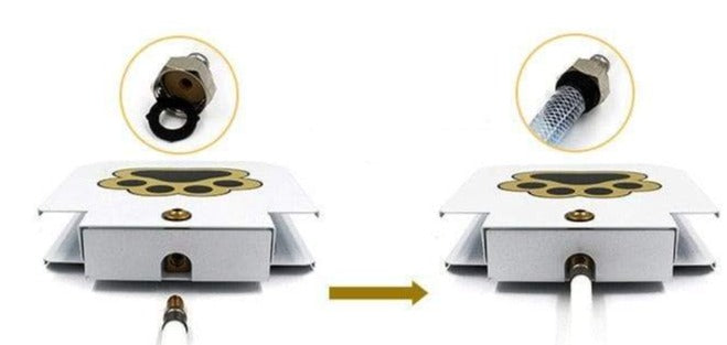 Bouledogue Avenue Pour Bouli Fontaine D&#39;eau Pattes Pression