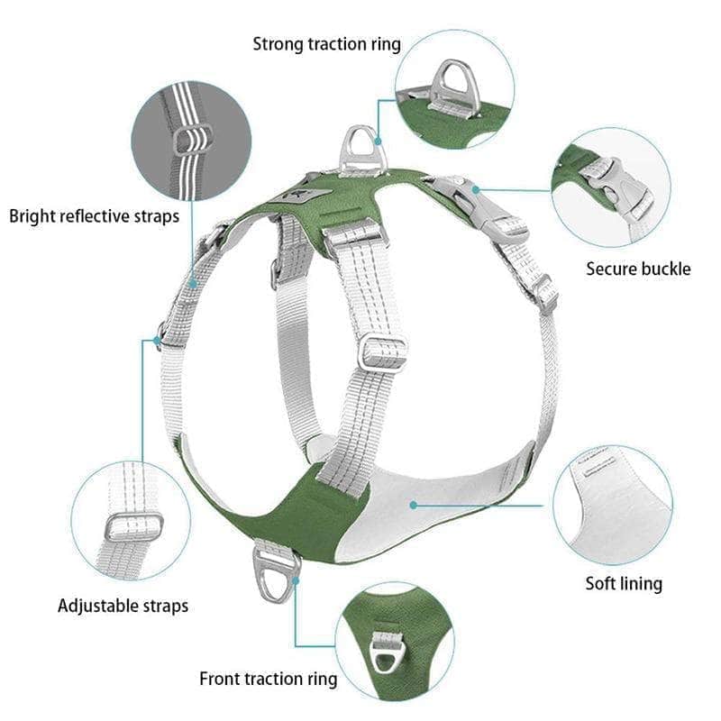 Bouledogue Avenue Pour Bouli Harnais Bouledogue Français Gilet De Poitrine Réfléchissant