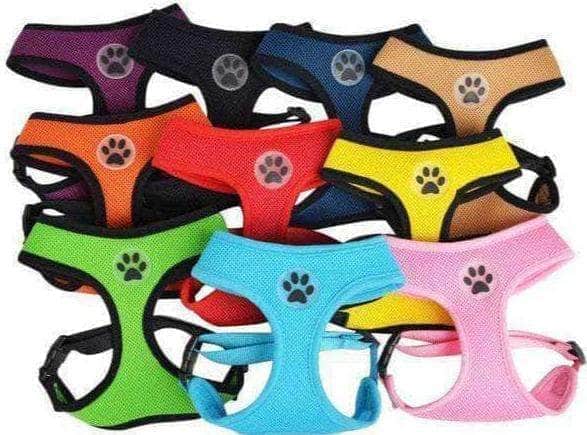 Bouledogue Avenue Pour Bouli Harnais Respirant Souple - Patte de Chien