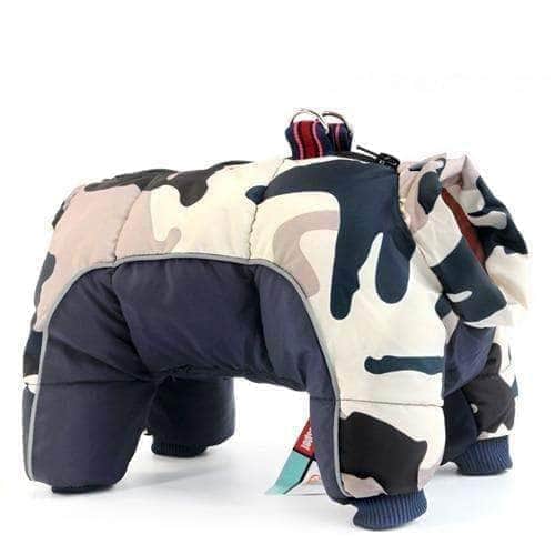 Bouledogue Avenue Pour Bouli Bleu Foncé / S Manteau Bouledogue Francais (Hiver 2020 / 2021)