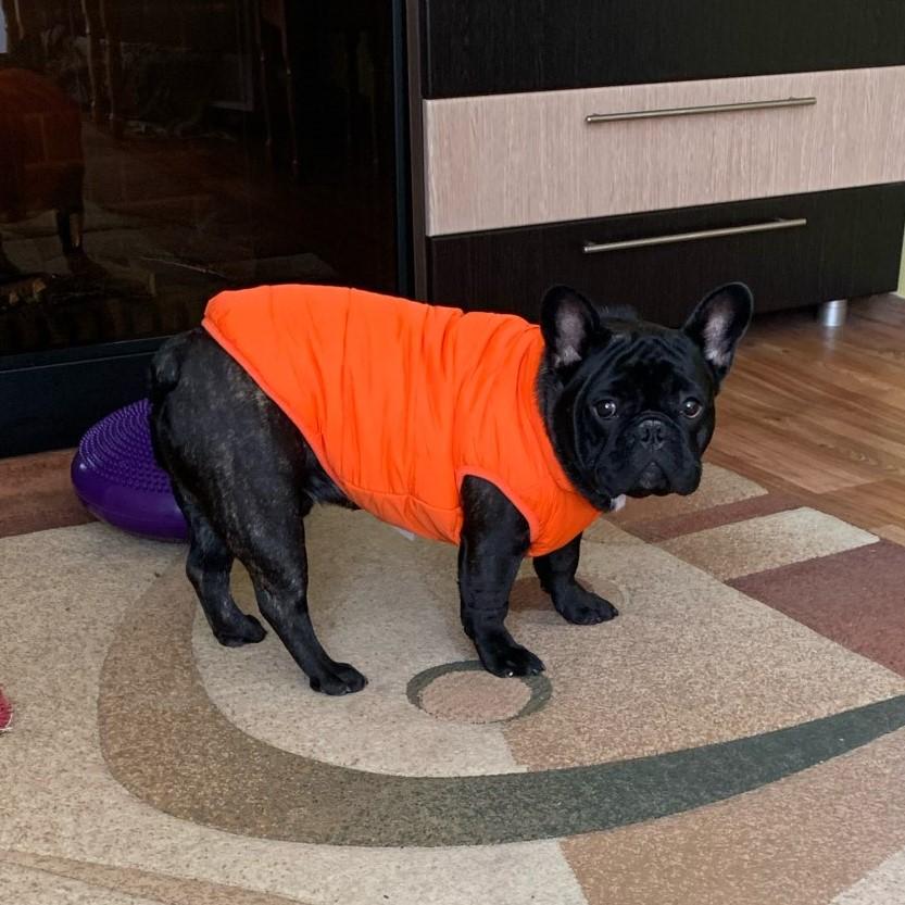 Manteau d&#39;hiver rembourré Pour Bouli