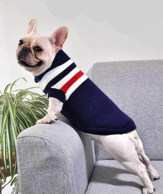 Bouledogue Avenue Pour Bouli Pull rayé en Coton