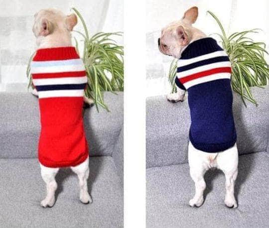 Bouledogue Avenue Pour Bouli Pull rayé en Coton