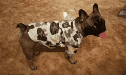 Bouledogue Avenue Sweat Camouflage Logo Bouledogue