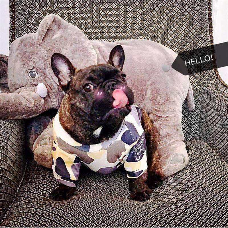 Bouledogue Avenue Sweat Camouflage Logo Bouledogue