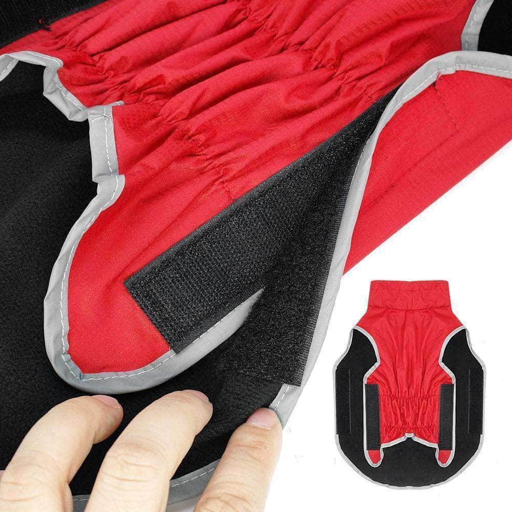 Bouledogue Avenue Pour Bouli Veste Imperméable Réfléchissante