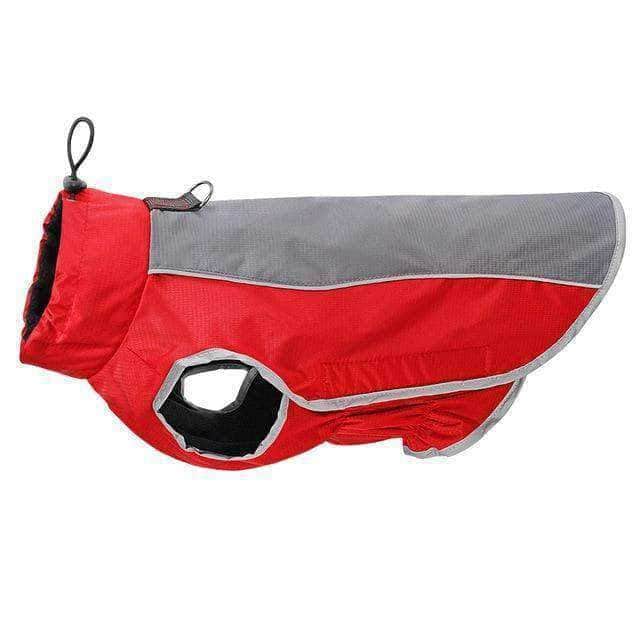 Bouledogue Avenue Pour Bouli Rouge / XXL Veste Imperméable Réfléchissante